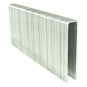 Staples Polar Tool & Supply