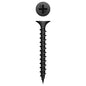 Phillips Screw