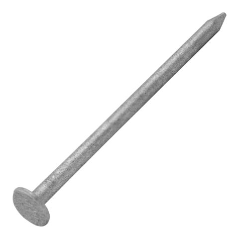 Nail on a white background