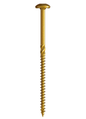 S20103125B - U2 Cs 5/16" X 3-1/8" Bult 500Ct