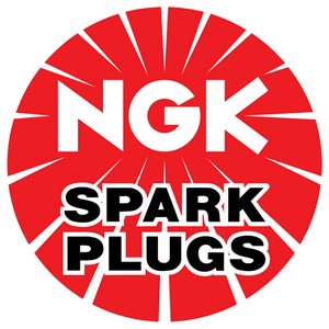 NGK® BPR6ES Standard Spark Plug